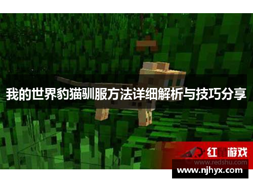 我的世界豹猫驯服方法详细解析与技巧分享 我的世界豹猫驯服方法详细解析与技巧分享
